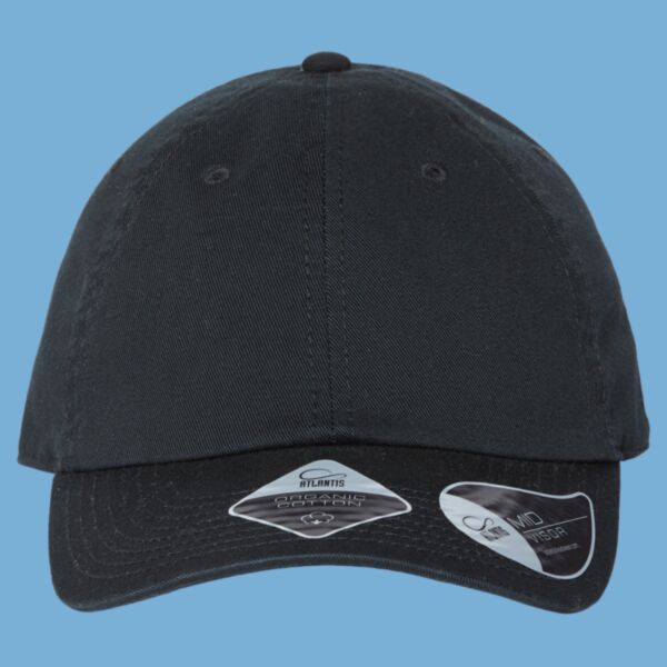 Sustainable Dad Hat Thumbnail