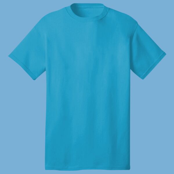 Midweight T-Shirt Thumbnail
