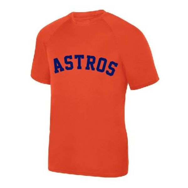 10U MINOR ASTROS - COACH GIBBS Thumbnail
