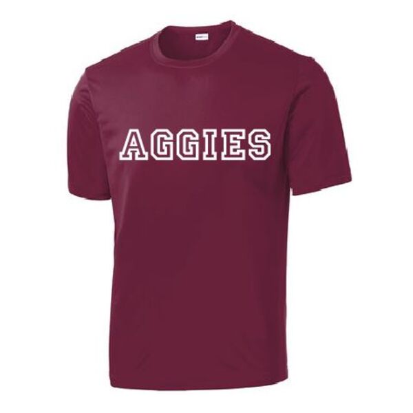 SOFTBALL COACH PITCH AGGIES - COACH TODD Thumbnail