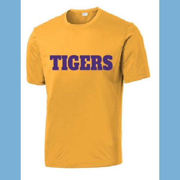 SOFTBALL PIXIE 6U TIGERS - COACH KLOECKER Thumbnail