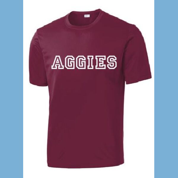 SOFTBALL MINOR AGGIES - COACH MOSS Thumbnail
