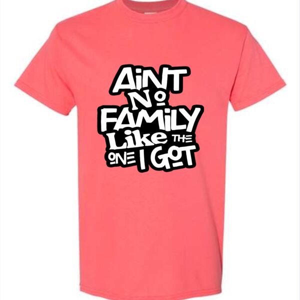Ain't No Family 2024 Tee Thumbnail
