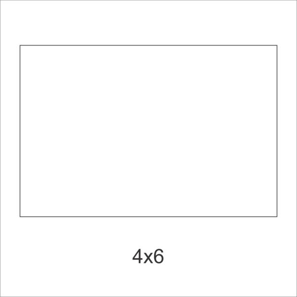 Thin Chloroplast 4x6 Thumbnail